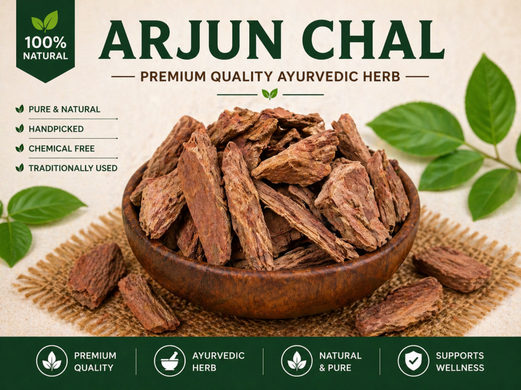 arjun chal