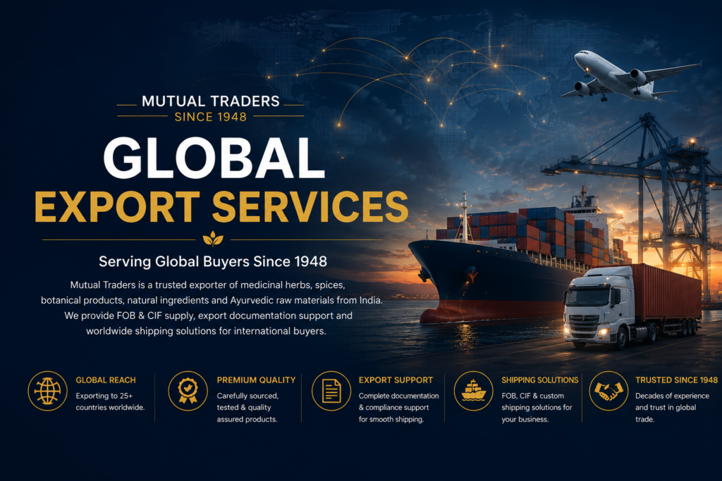 export banner