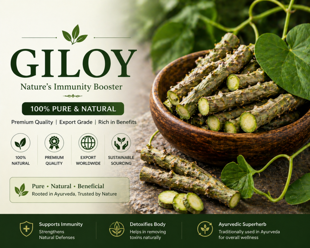 giloy